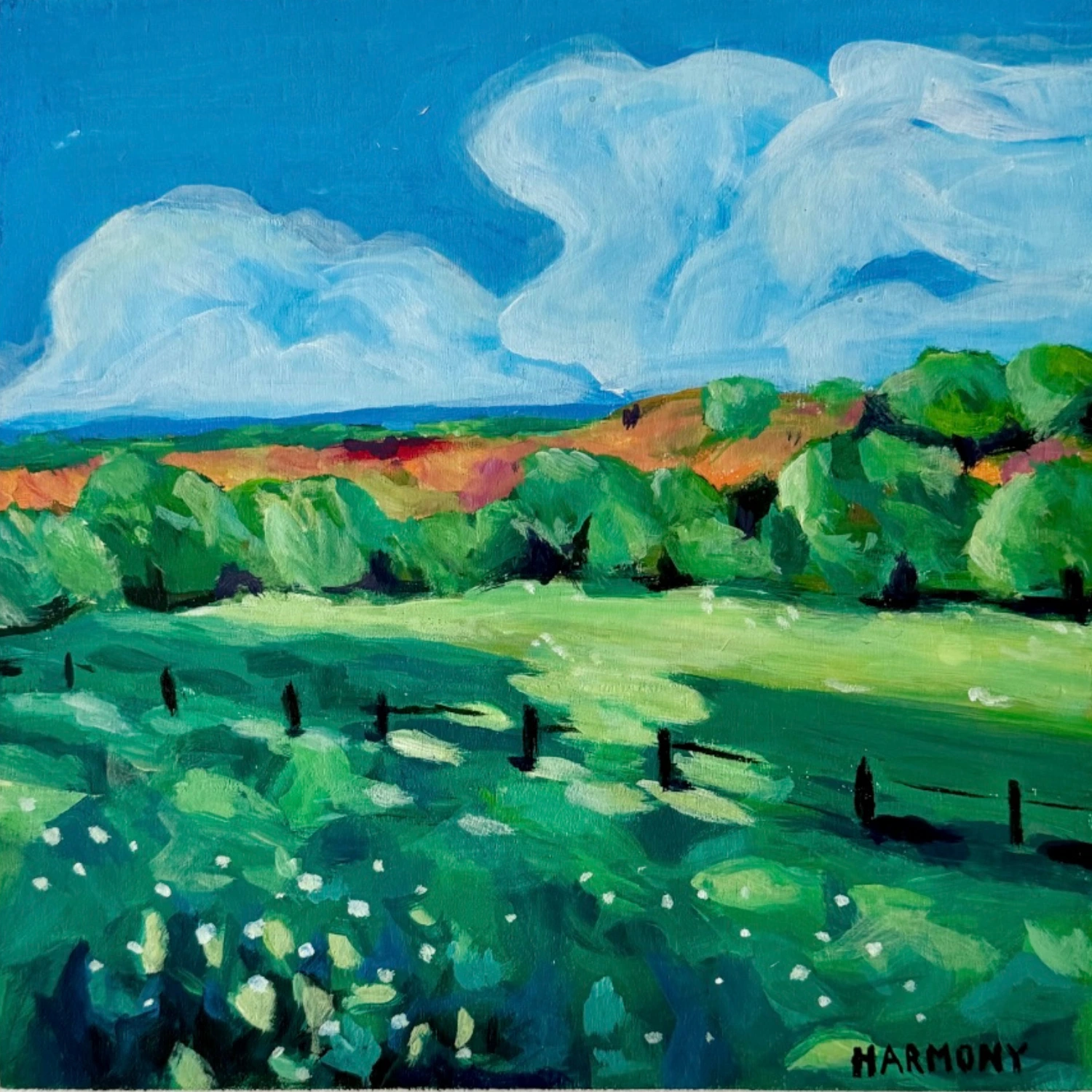 Green field beneath billowing white clouds
