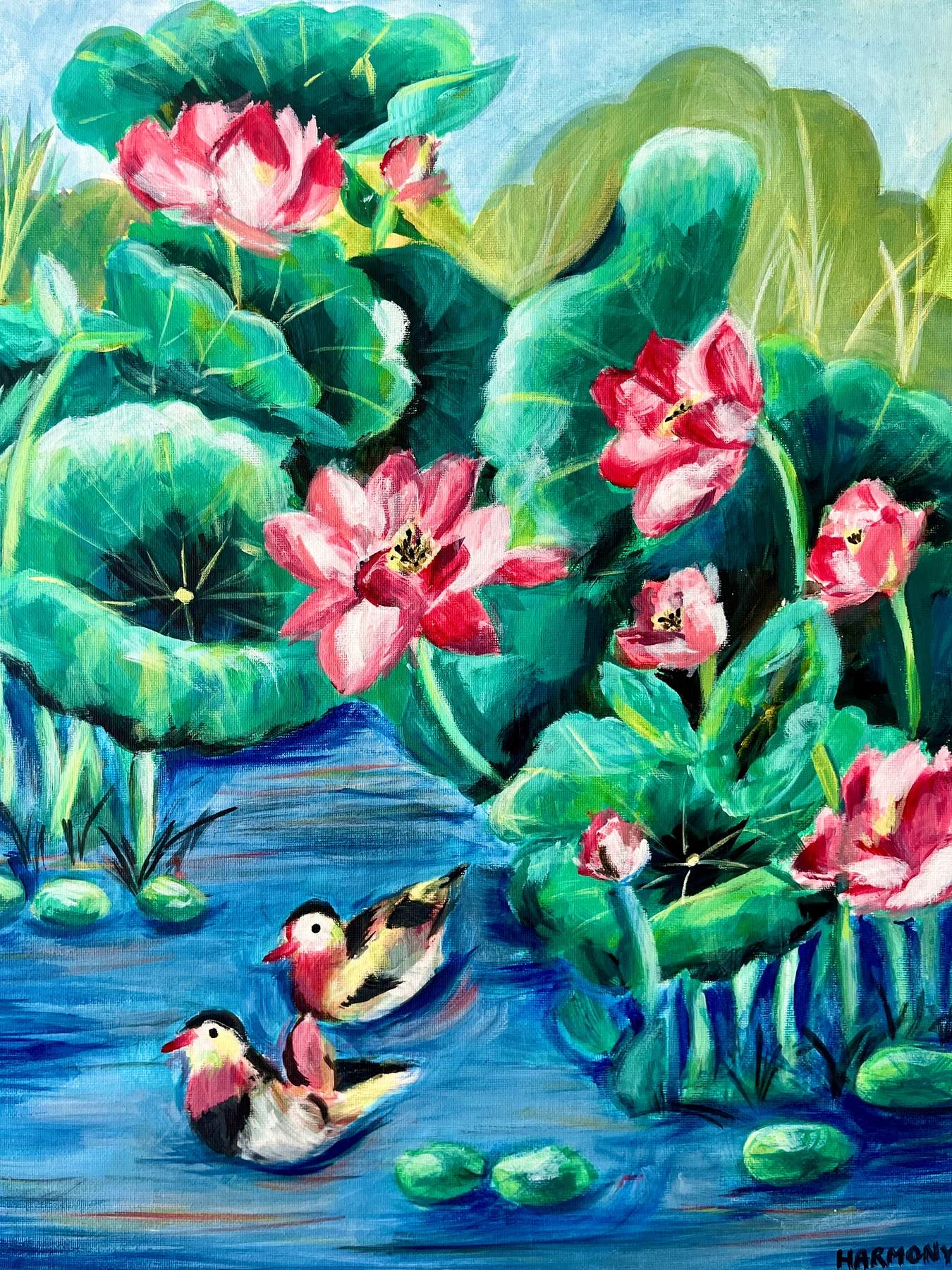 Lotus pond with pink flowers and two ducks
